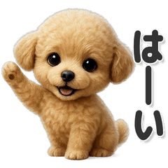 毎日使える！かわいいティーカッププードル