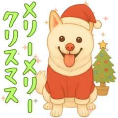 柴犬小梅の季節のきもち編