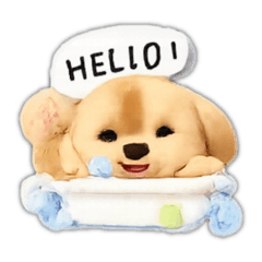 IRADA_THAILAND_20251228022748