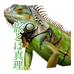 哲学するイグアナの旅と真理