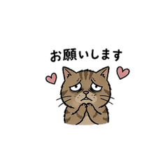 ぶすかわ猫の日常