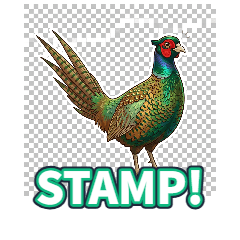 Pheasant wwww