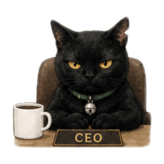 Black cat in office