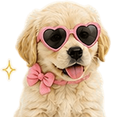 Jummum The Golden V.9