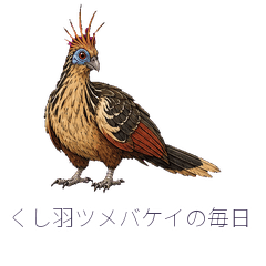 くし羽ツメバケイの毎日