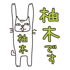 ばんざい猫 柚木用