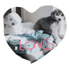 カストル ＆ ヘレネ