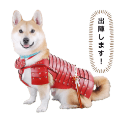 シバーギーのムタ