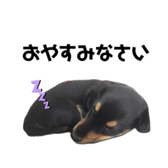 わんわん。れおんくんの気持ち。