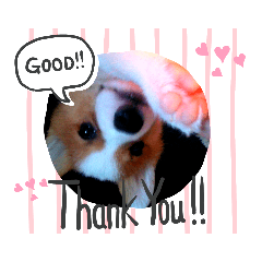 コーギー竜太郎スタンプ