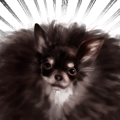 陰陽わんにゃん ～二面性のある犬猫達～