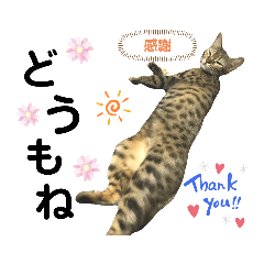 コロむぎゆずMIX