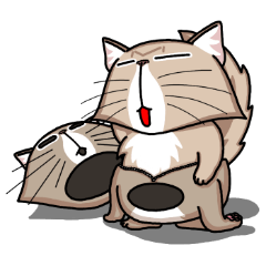 ソマリ猫「マックス」(実用編)