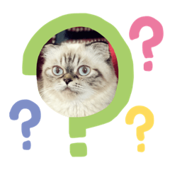 stella_20200326160459