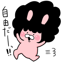 アフロうさぎ