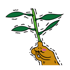 ショウガとミョウガとワサビの日常。