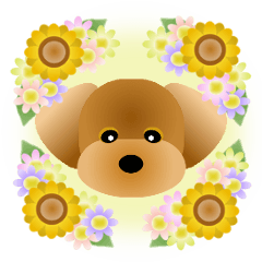 かわいい♪トイプードル2