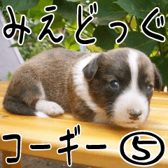 みえどっぐスタンプ コーギーカーディ編 ５