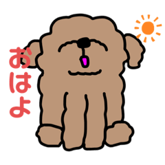 顔あげトイプー