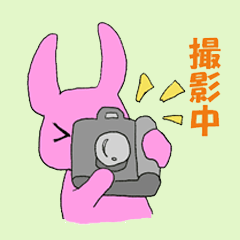 カメラあにまるず