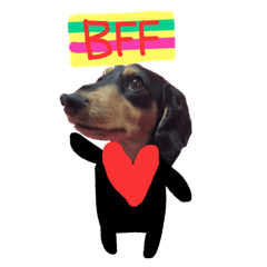 今時のコロとコハル