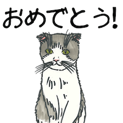 最愛猫2