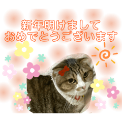 マンチカンなリロリロ　ご挨拶