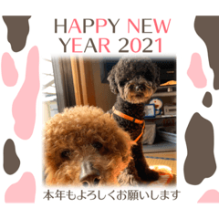 2021年 えびす＆じん