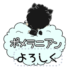 ブラックタンのポメちゃん