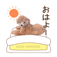 からあげくんの日常