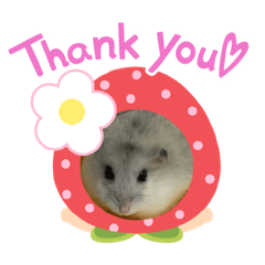 Grace_20210228205321