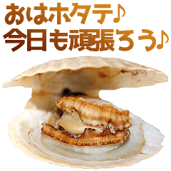 やさしいホタテ