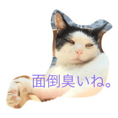 ブラン猫スタンプ②