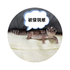 sophia_20210601195150