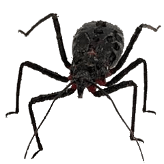 みんな大好き！ヨコヅナサシガメのスタンプ