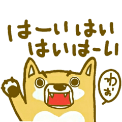 柴犬のシバくん