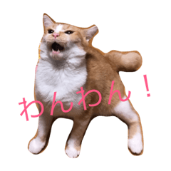 ひとことスタンプにゃ