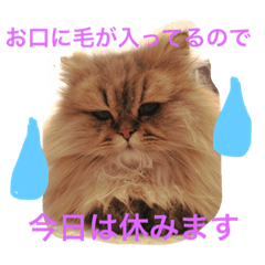 使い道に困るエルたんスタンプ