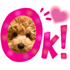 プードル・ベアくんスタンプ