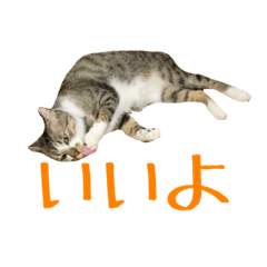 みゅうくんの初級スタンプ