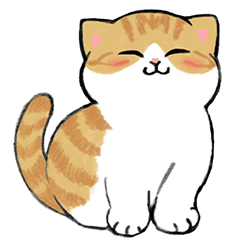 ふんわり☆まんまるにゃんこの毎日