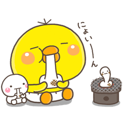 ぴっぴの冬【2018】