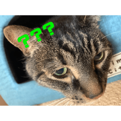 みっちゃんスタンプ　1