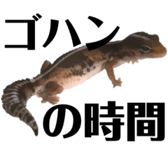 爬虫類ニシアフくん