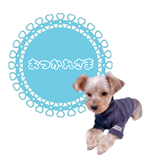 わんカフェスタンプ