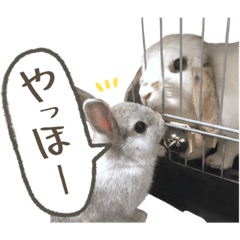 コフィー&アルル