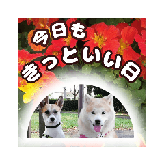 ひなちゃん＆りりぃちゃん