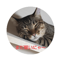 初めて猫のスタンプ作ってみました