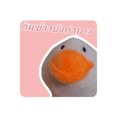 Puppy_20220805123009