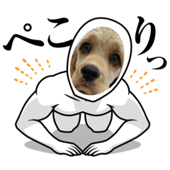 アメリカンコッカースパニエル.エリック